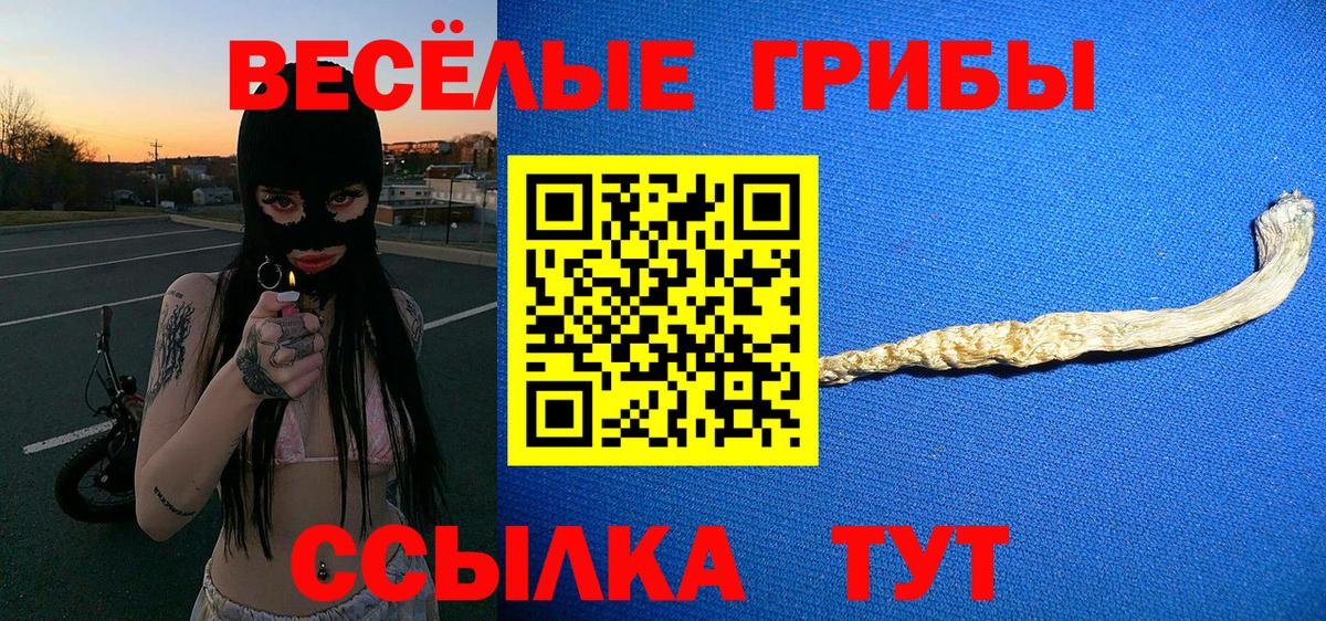Псилоцибиновые грибы Psilocybe  Вход с VPN  Псилоцибиновые грибы ЛСД  Майский 